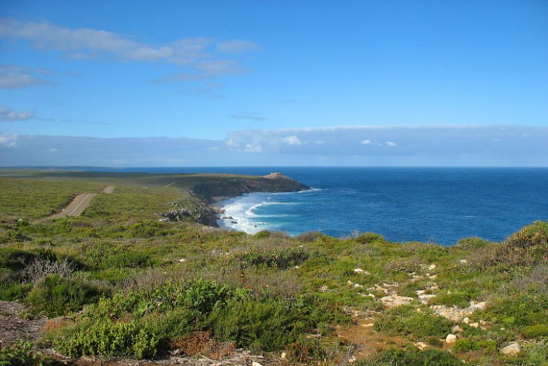 <p>Kangaroo Island</p>