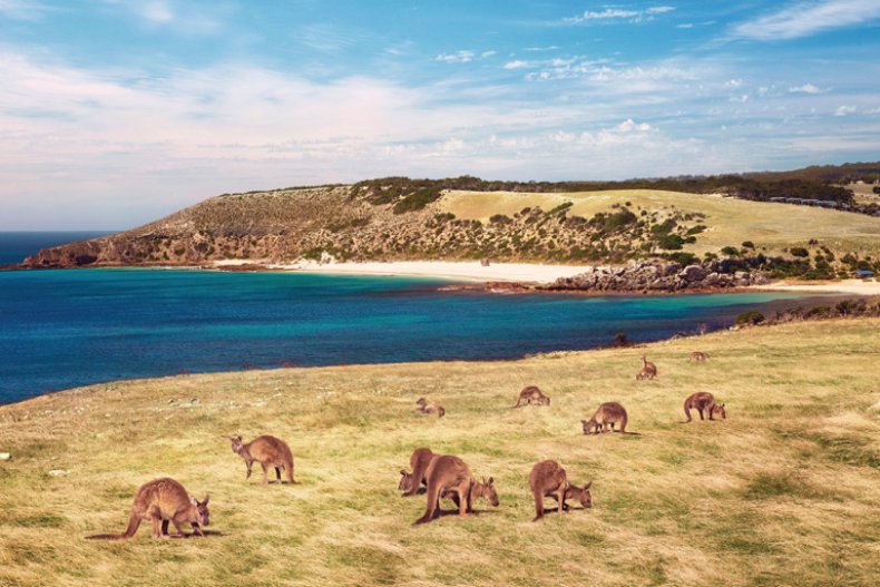 Waves & Wildlife / Paul's Place, Stokes Bay, North Coast 
Kangaroo Island, South Australia
