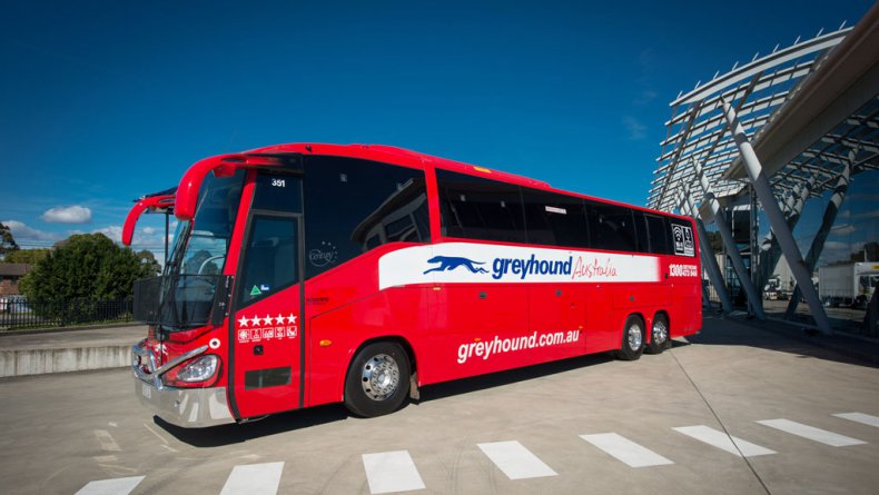 Greyhound Australia - Buspässe Australien