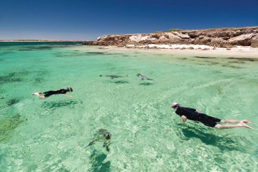 Schwimmen mit Seehunden, Baird Bay Ocean Eco Experience, SA