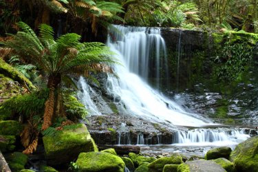 Russell Falls, Tasmanien