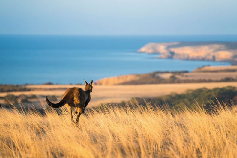 Kangaroo Island, SA