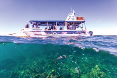Glasbodenboot, Coral Bay
