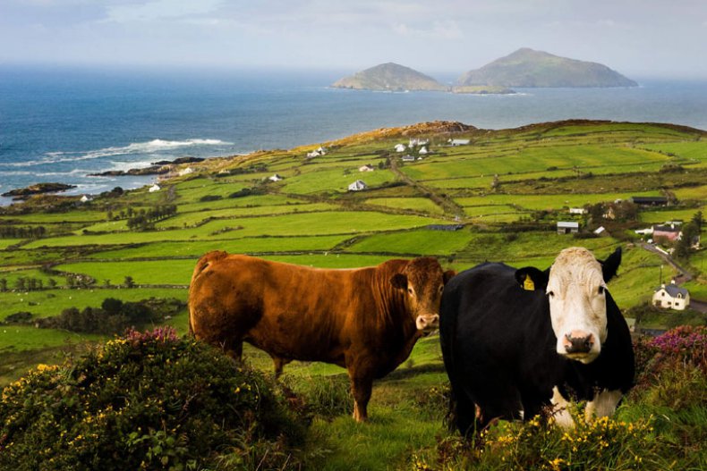Ring of Kerry, Co. Kerry