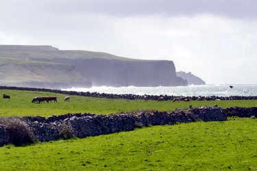Die Westküste Irlands (Cliffs of Moher)