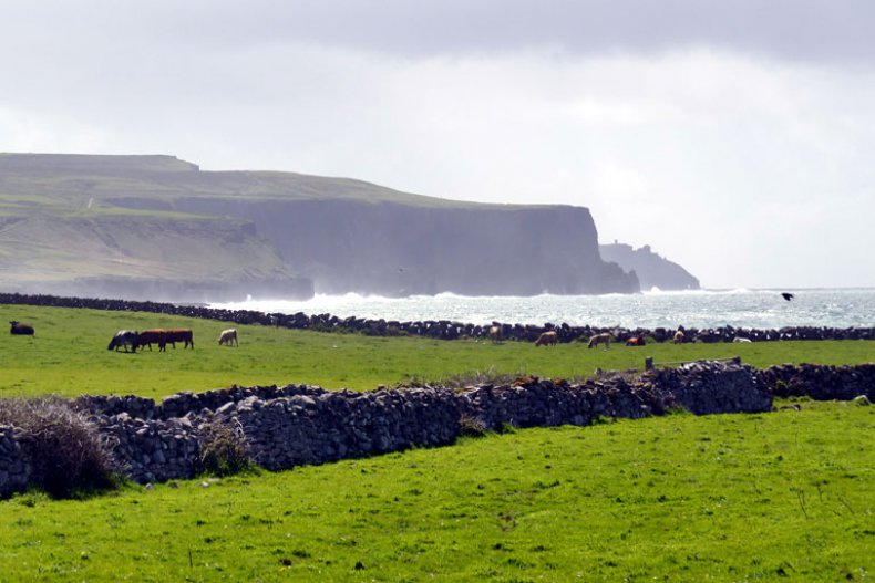 Die Westküste Irlands (Cliffs of Moher)