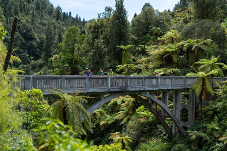 Bridge to nowhere Mountains to Sea Cycle Trail, Whanganui NP