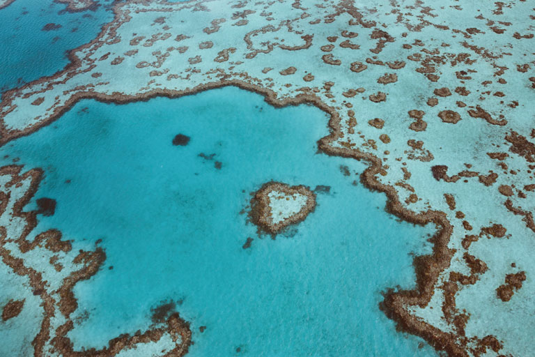 Heart Reef, Great Barrier Reef, Australien